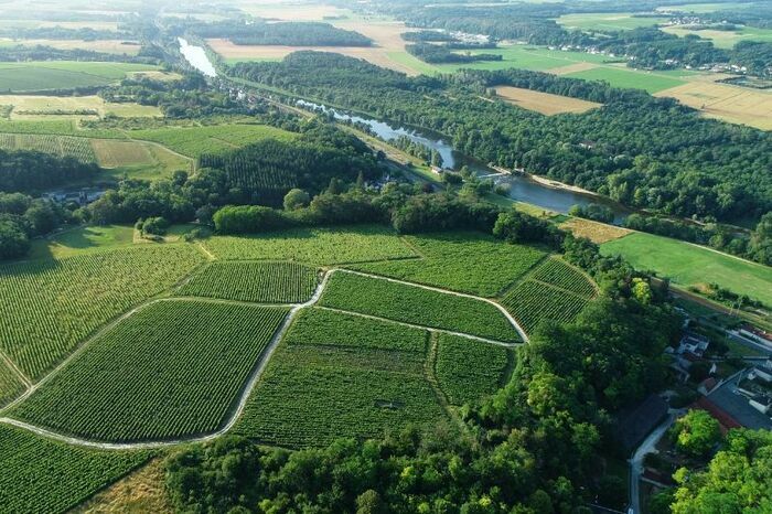 Vins de Loire : Bienvenue en Touraine !
