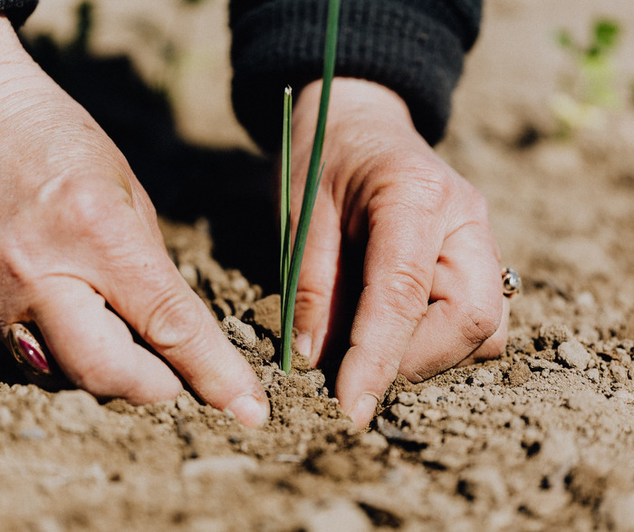 Atelier QUBS – Qualité biologique des sols