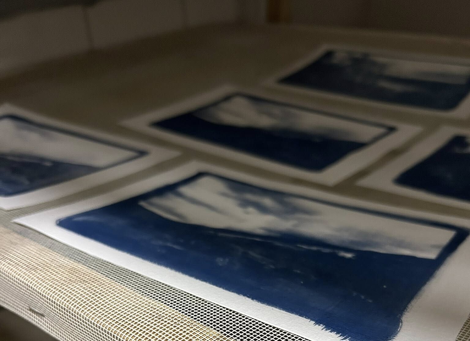 Exposition de cyanotypes par Angèle Thirion