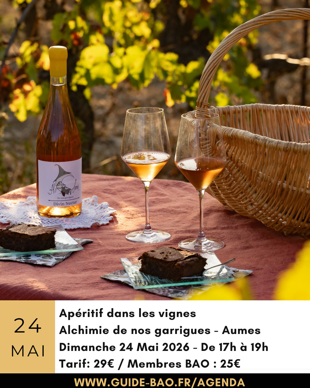 Apéritif au milieu des vignes