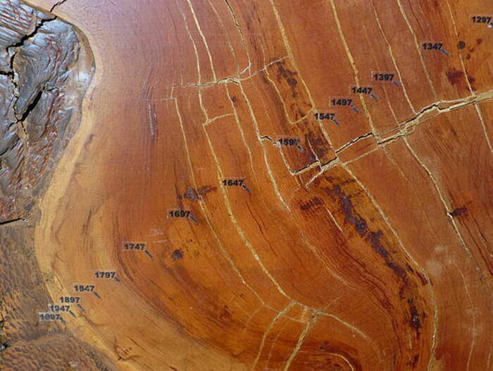 UNE GÉOGRAPHIE DES LIGNES - DE LA DIVERSITÉ DES MODES D'HABITER AUX ENJEUX POLITIQUES DE DÉLIMITATIONS