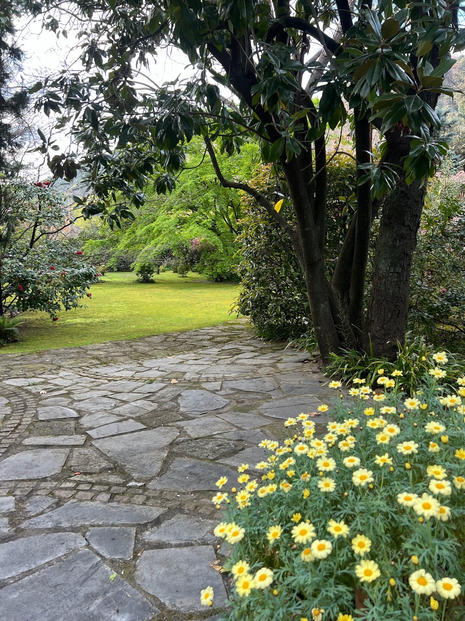 Le jardin VU de vos yeux... et les nôtres