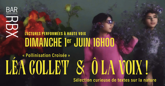 Dim’BAR, lectures à haute voix