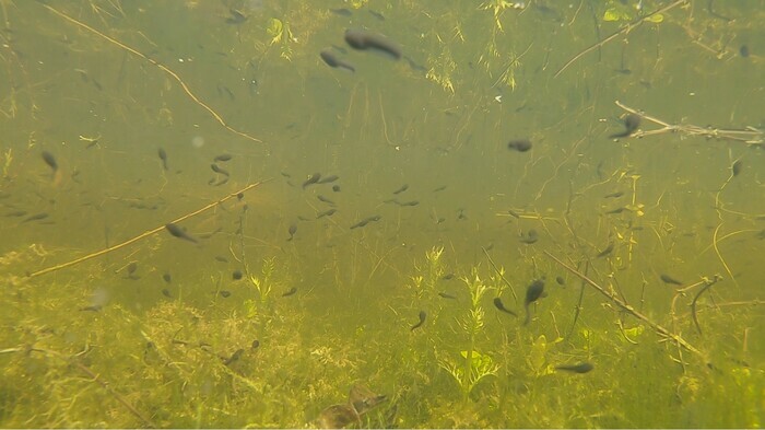 Exploration des douves de la citadelle de Lille !