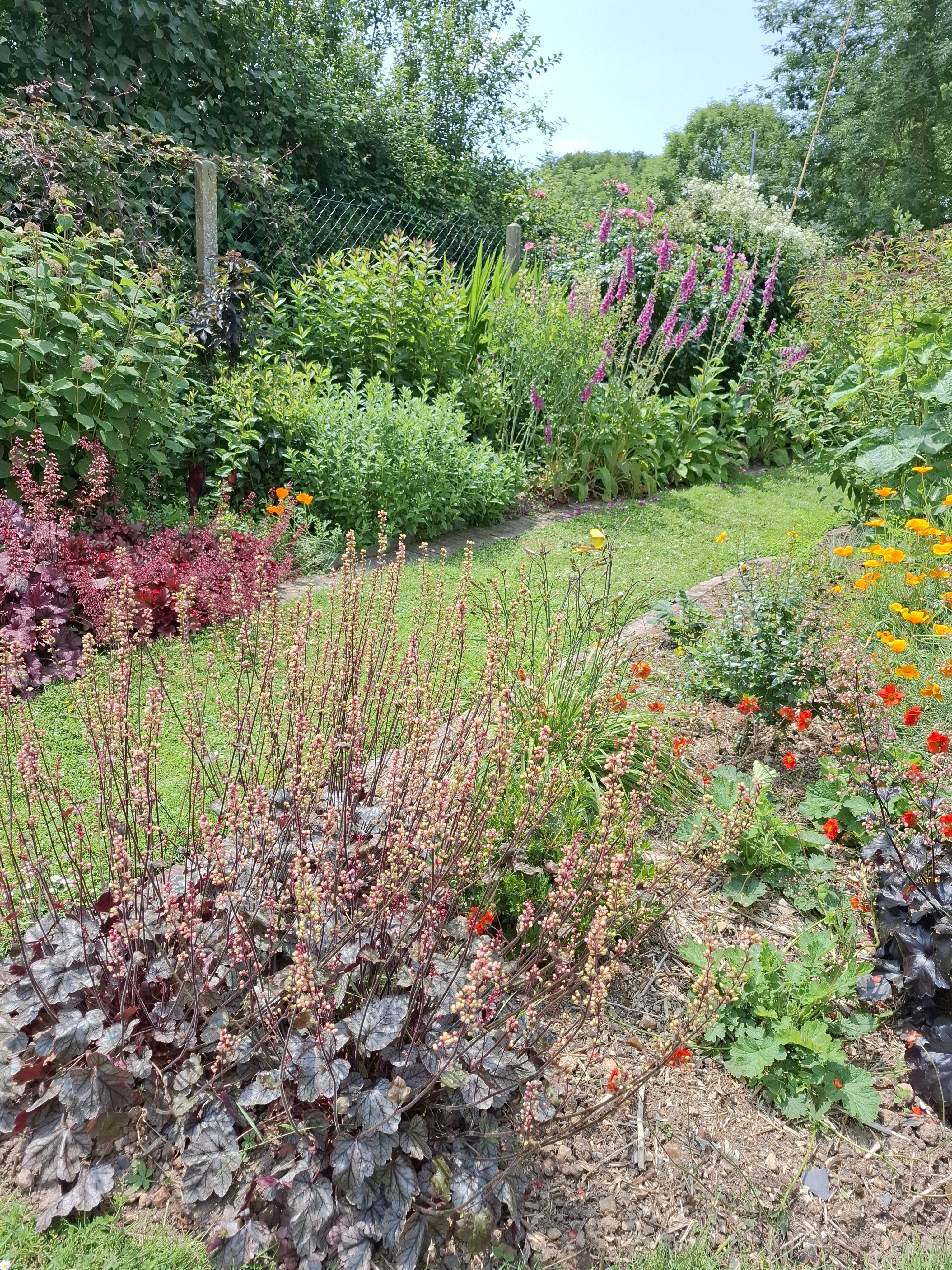 Visite d'un jardin personnel entre ville et campagne