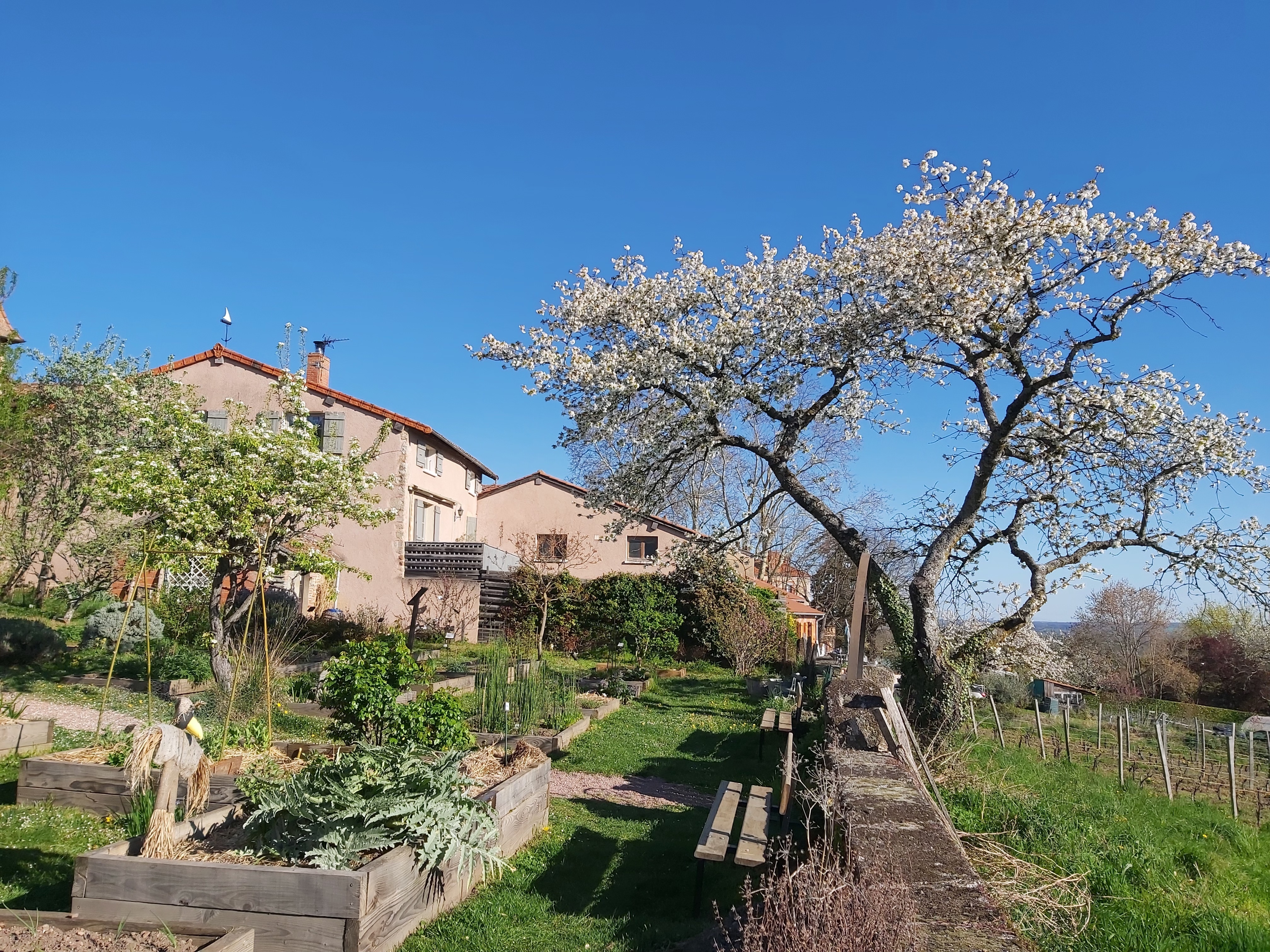Visite du jardin du Moyen-Âge