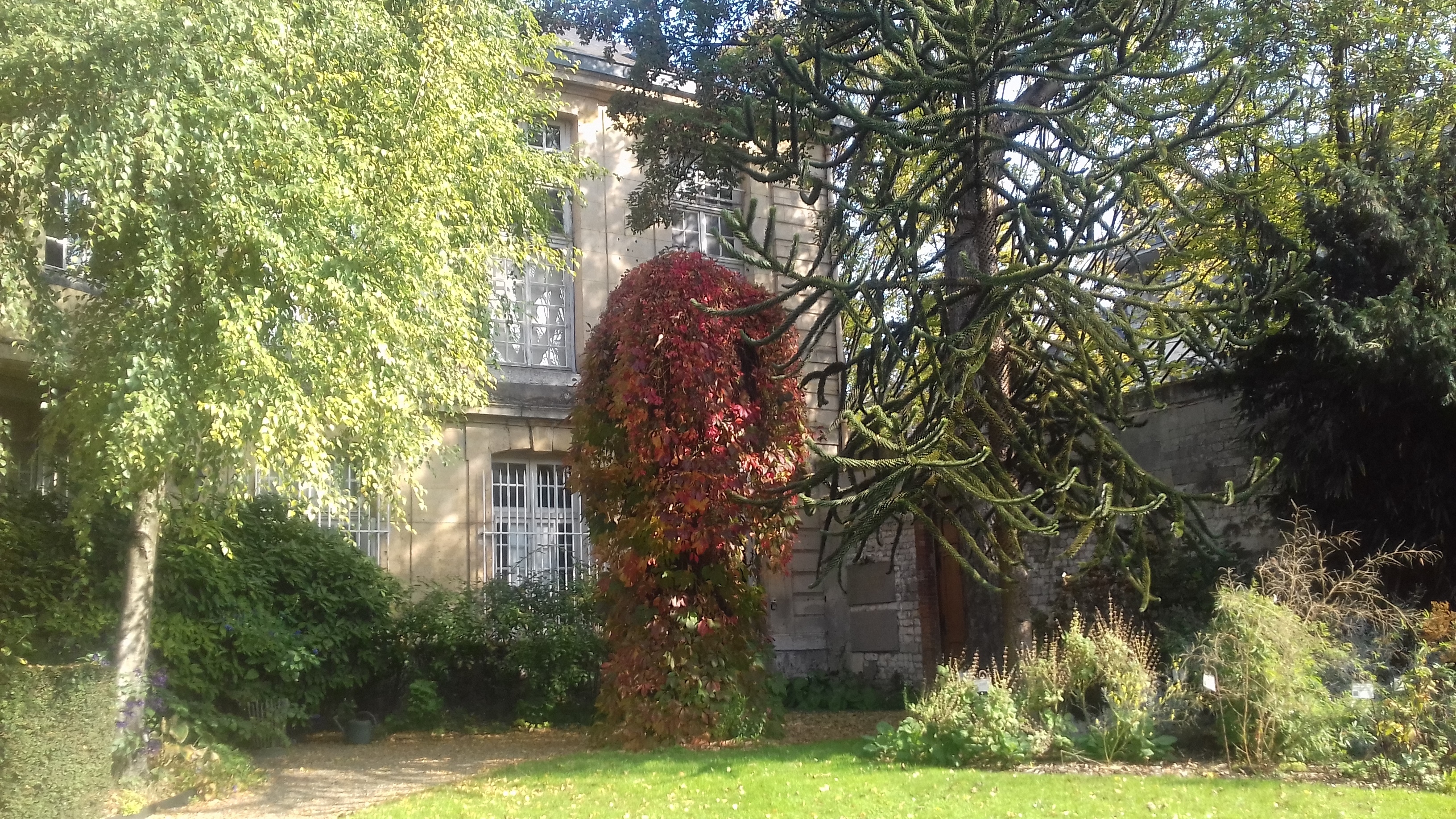 Lecture : découverte littéraire et sensorielle du jardin du musée Flaubert