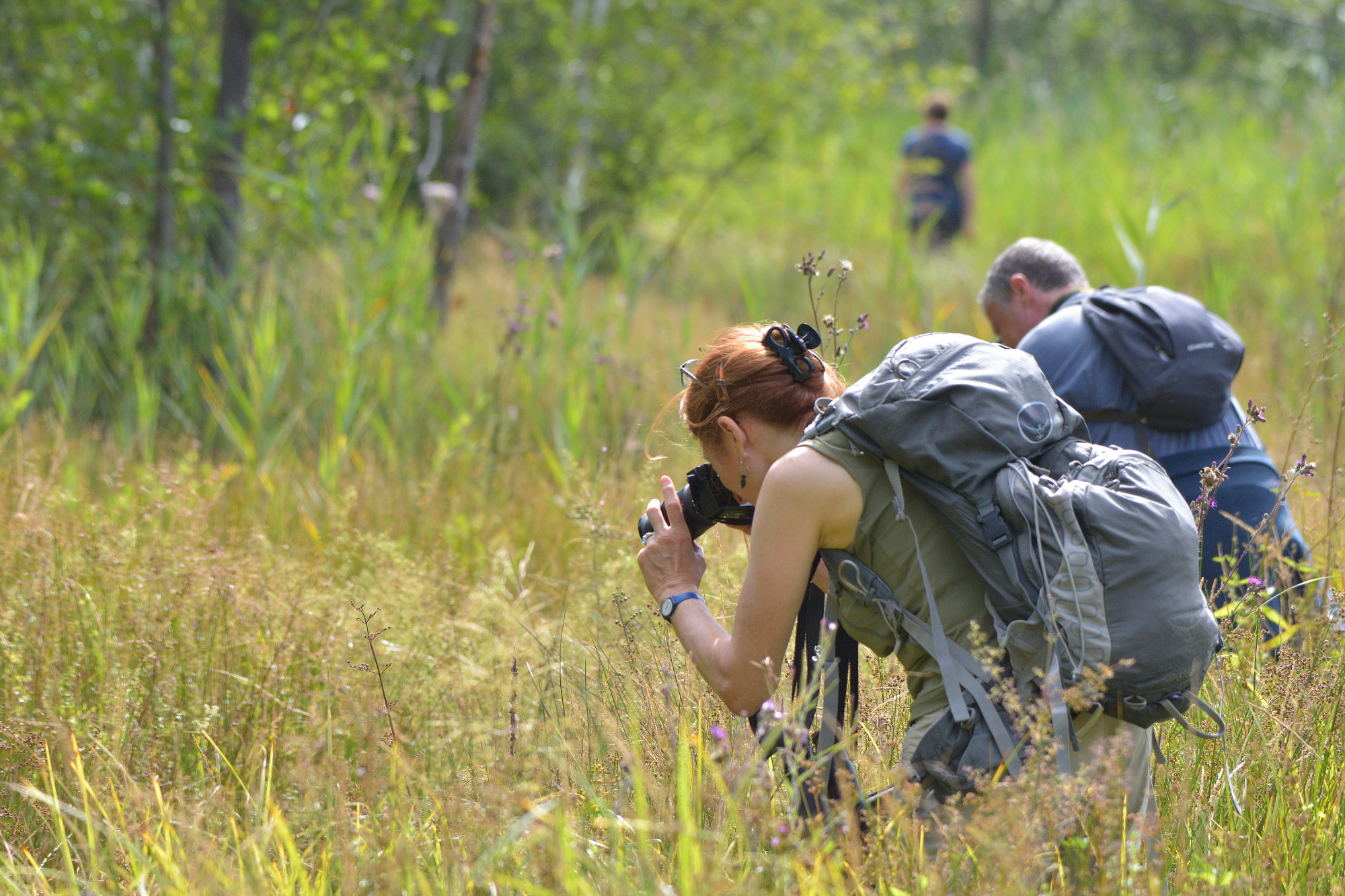 S’essayer à la photographie animalière dans la RNR du Marais de Stors