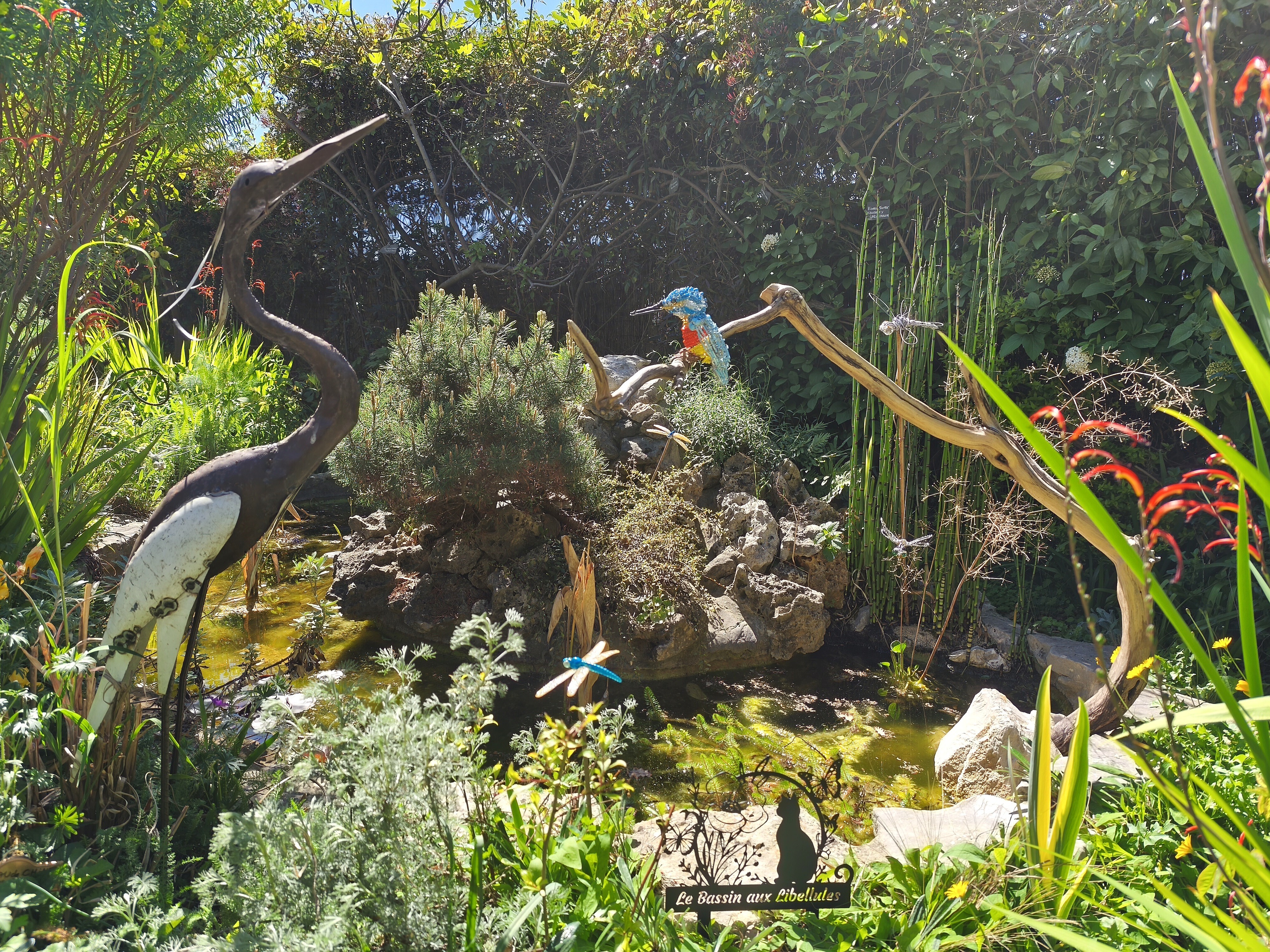 Visite du jardin botanique privé Sauvages et belles à croquer