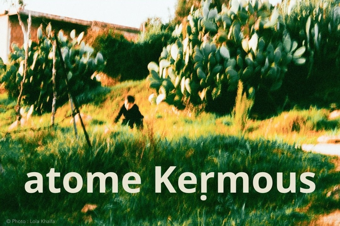 Concert du groupe Atome Kermous
