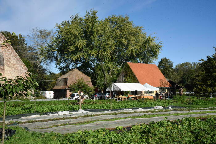 Heritage days at the Farm of the Recueil