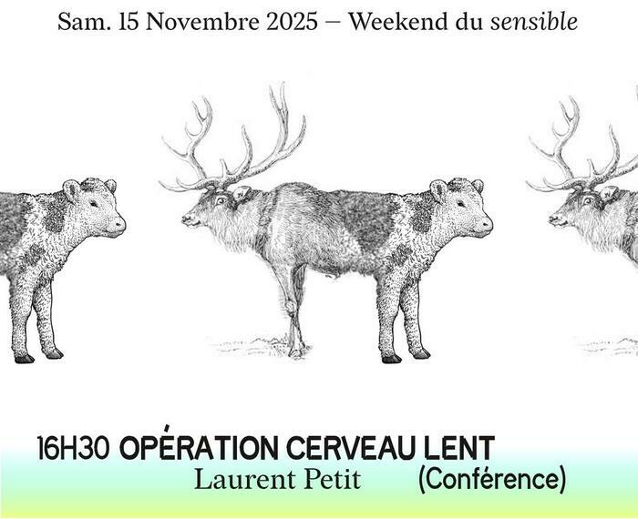 Opération Cerveau Lent - Laurent Petit