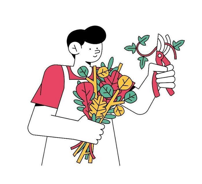 Les jardins solidaires d’Aussonne, Chemin de la Vitarelle