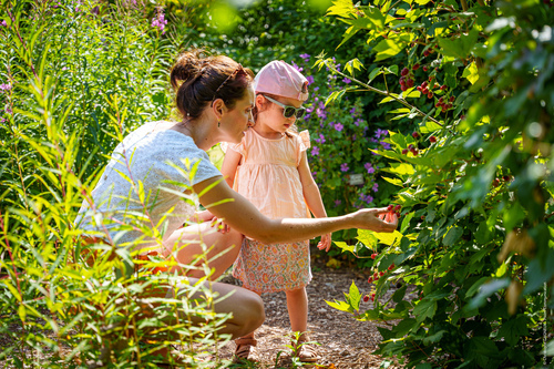 Testez vos connaissances aux jardins du Puygirault