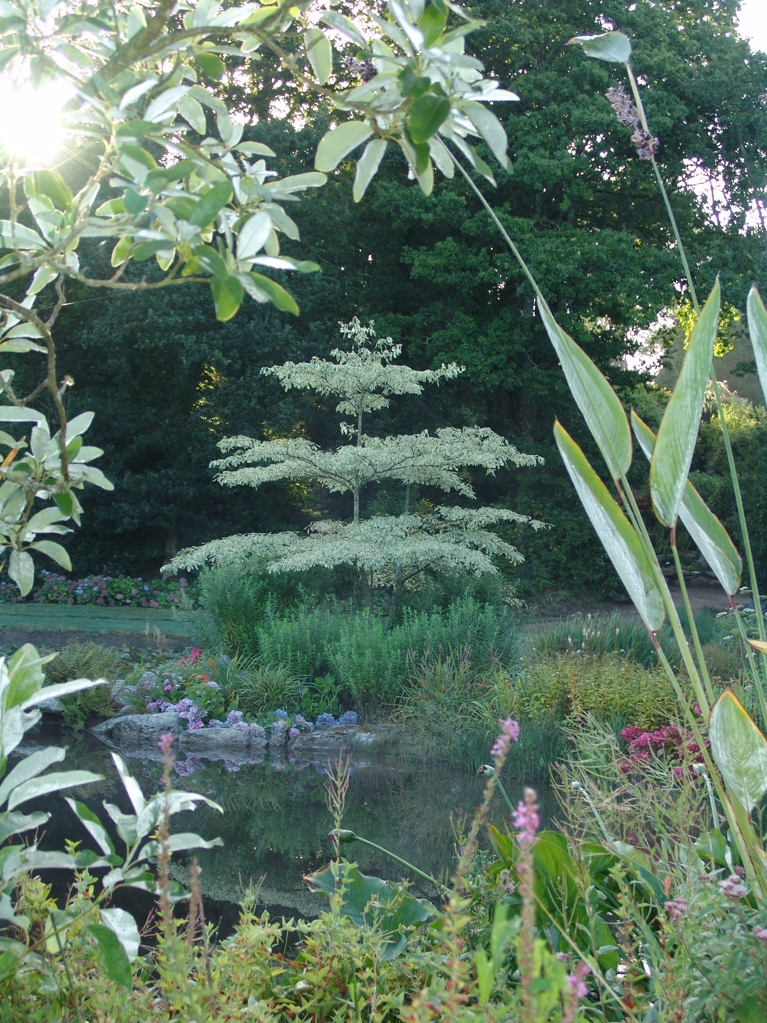 Visite du parc botanique de Cornouaille