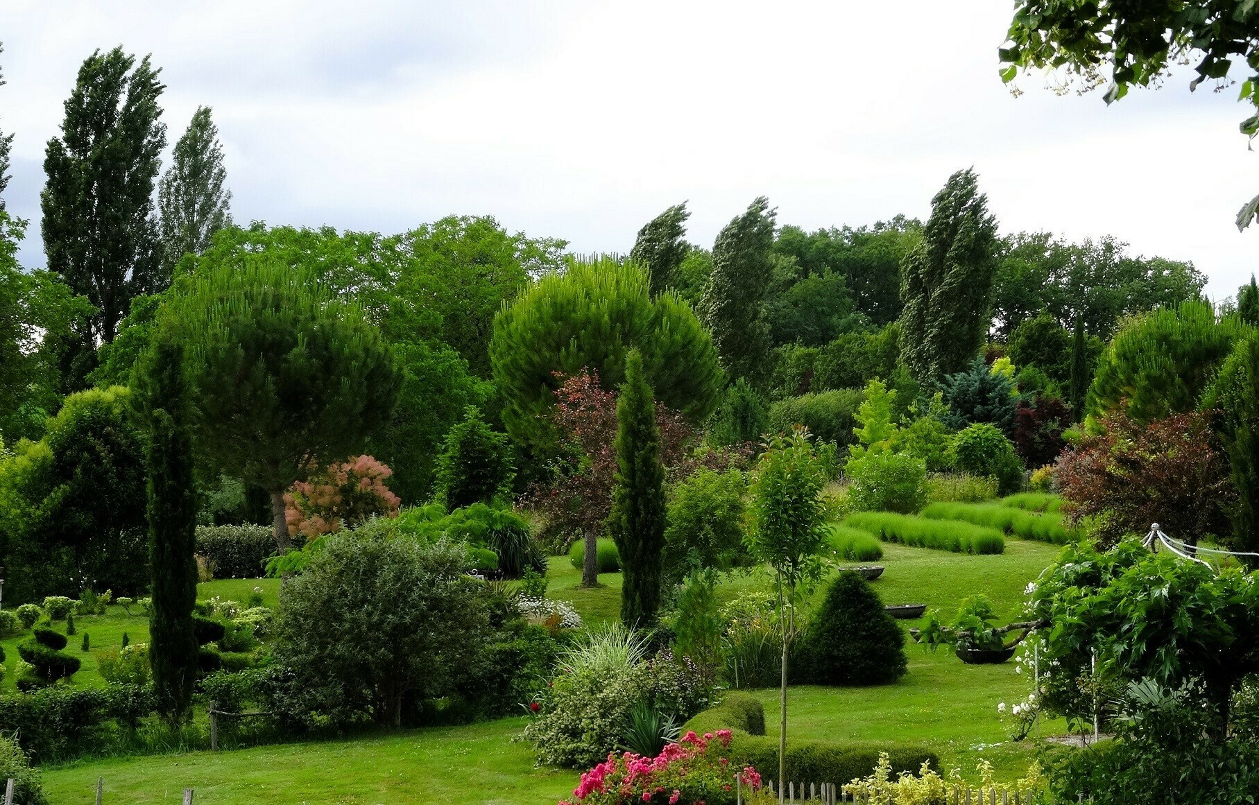 Visitez Les jardins du Coq