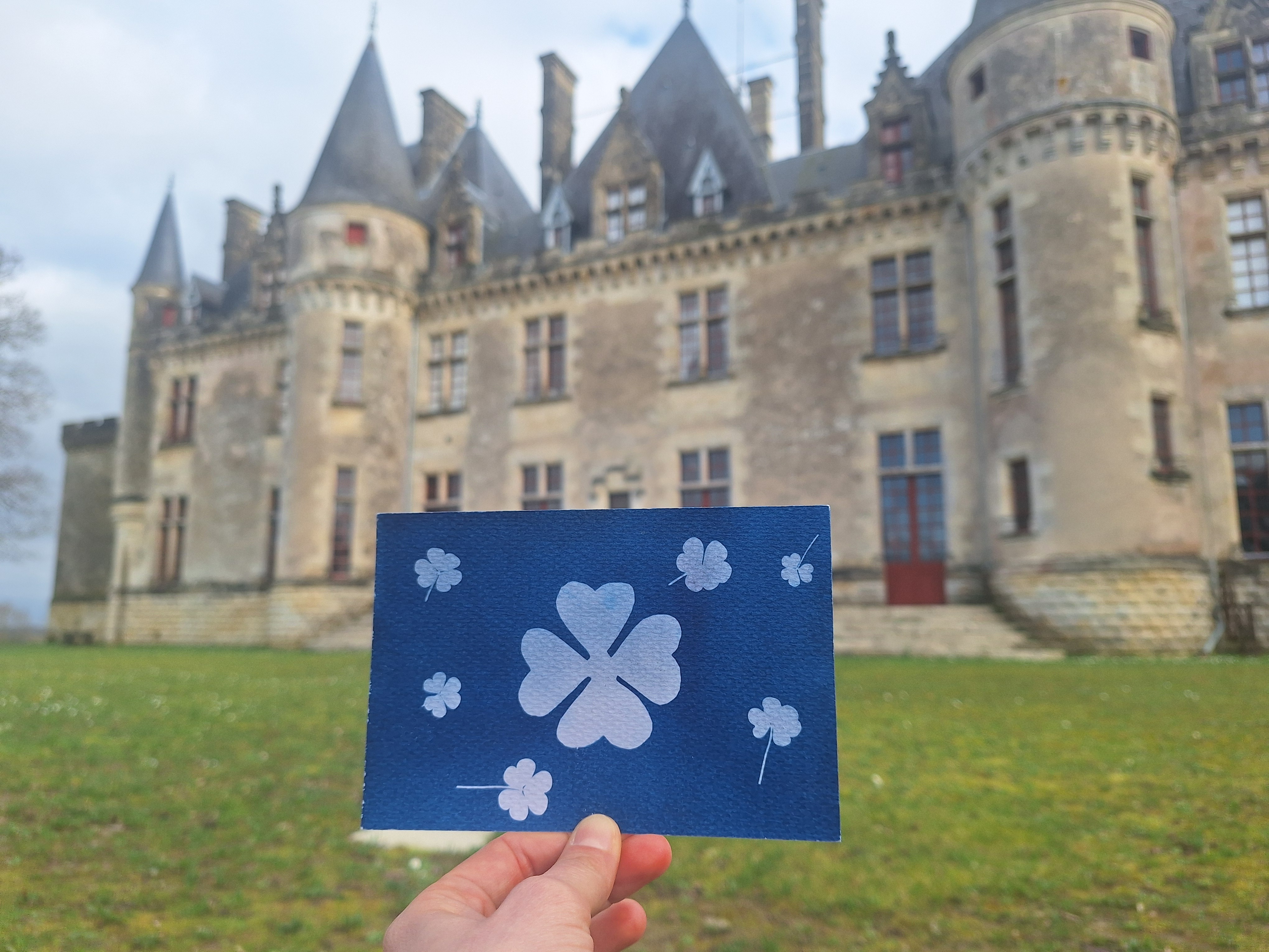 Atelier Cyanotype