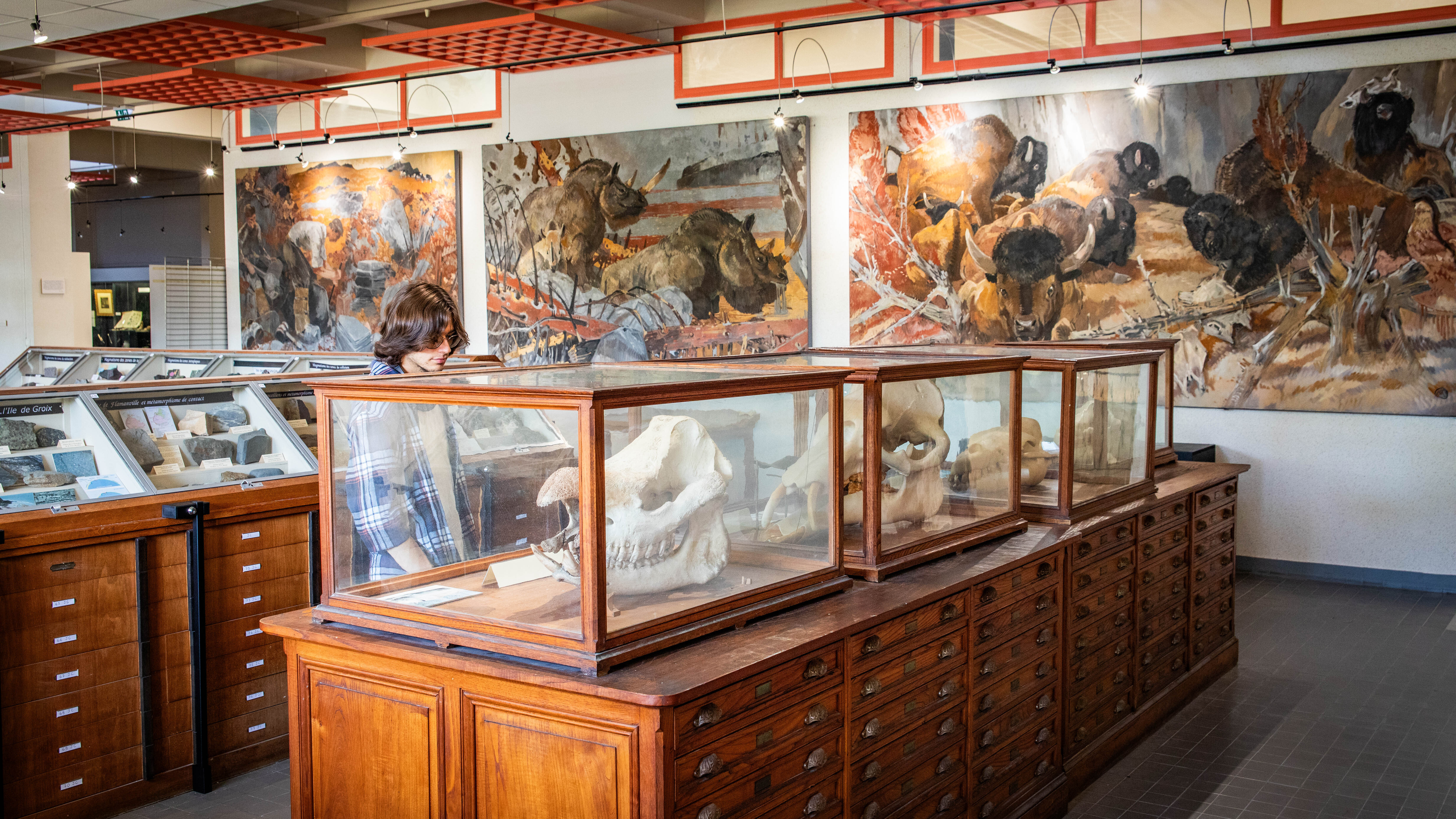 Nuit des Musées : Visites des collections de l'Université de Rennes