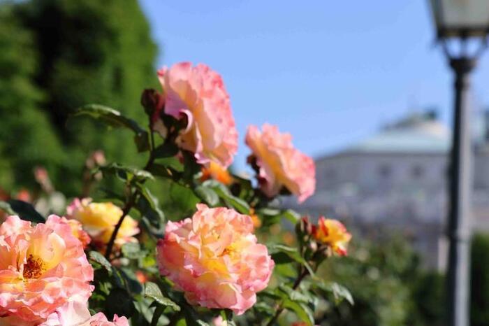 volksgarten