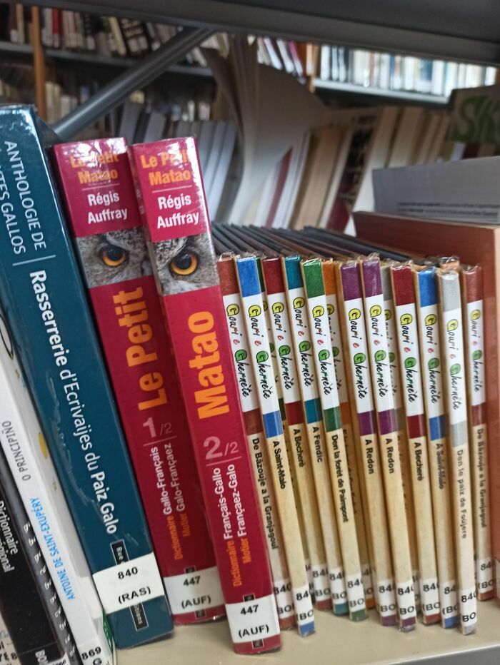 Initiation au gallo sur un thème donné à partir d’un enregistrement sonore, d’extraits de texte, etc. Ces ateliers permettent de se familiariser avec le gallo de manière conviviale et participative.