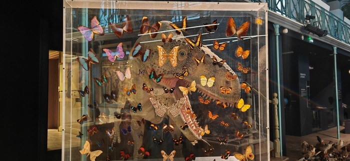 Fives / Atelier - Crée ton portrait de dino !