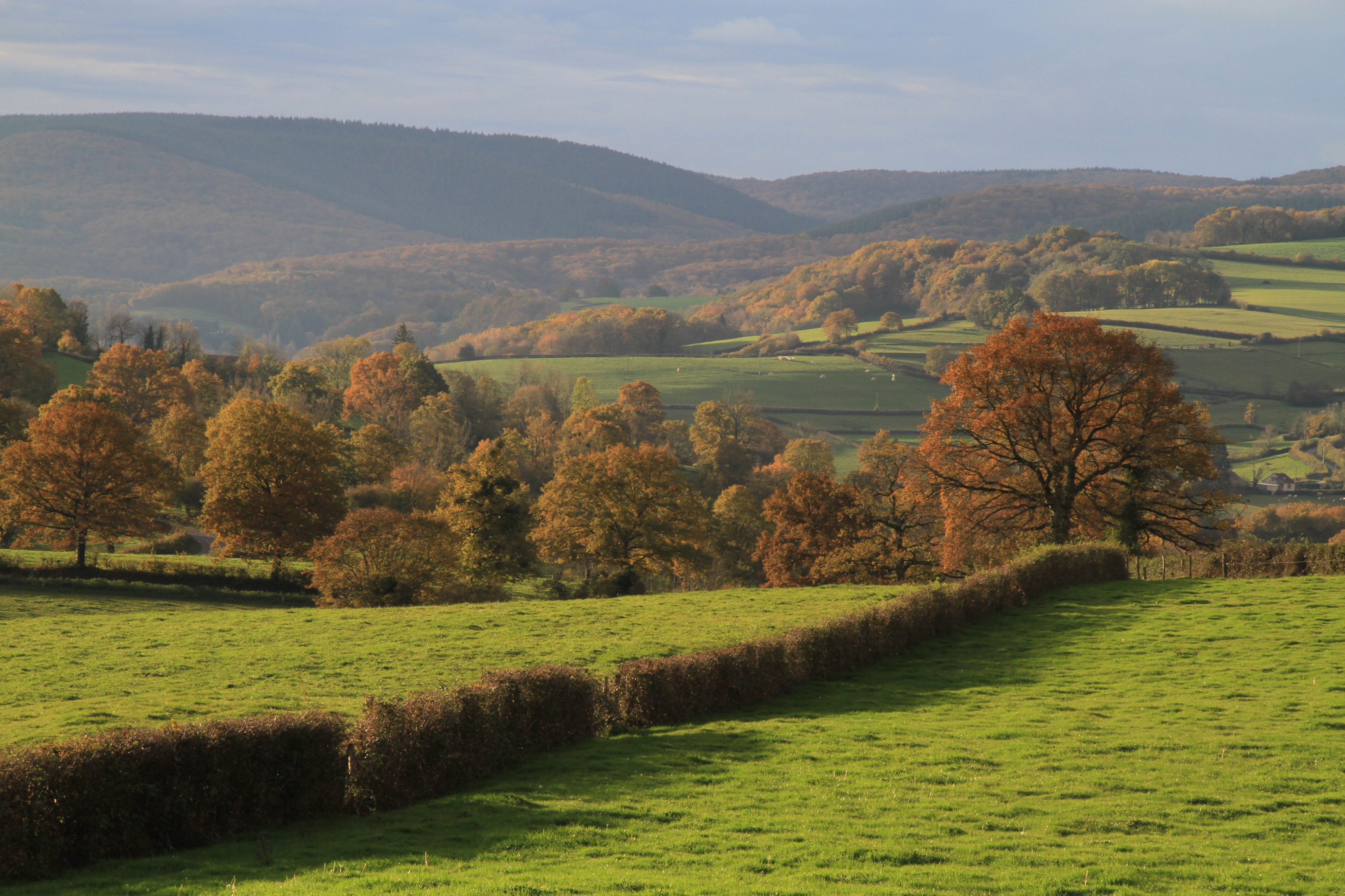 Visite zoom : les paysages du Morvan