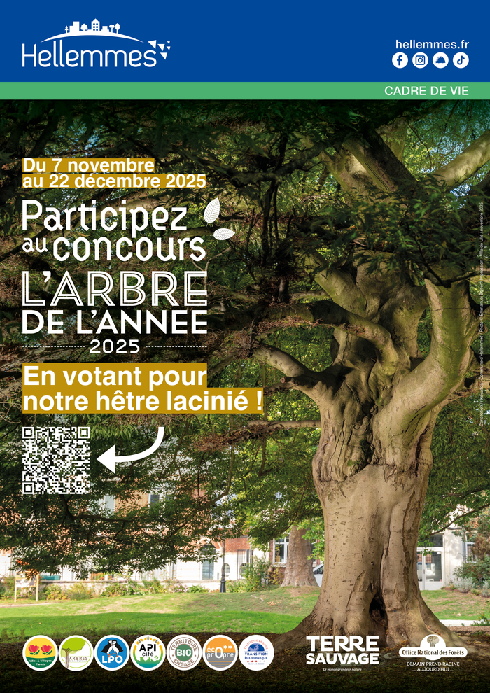 Concours de l'arbre de l'année 2025