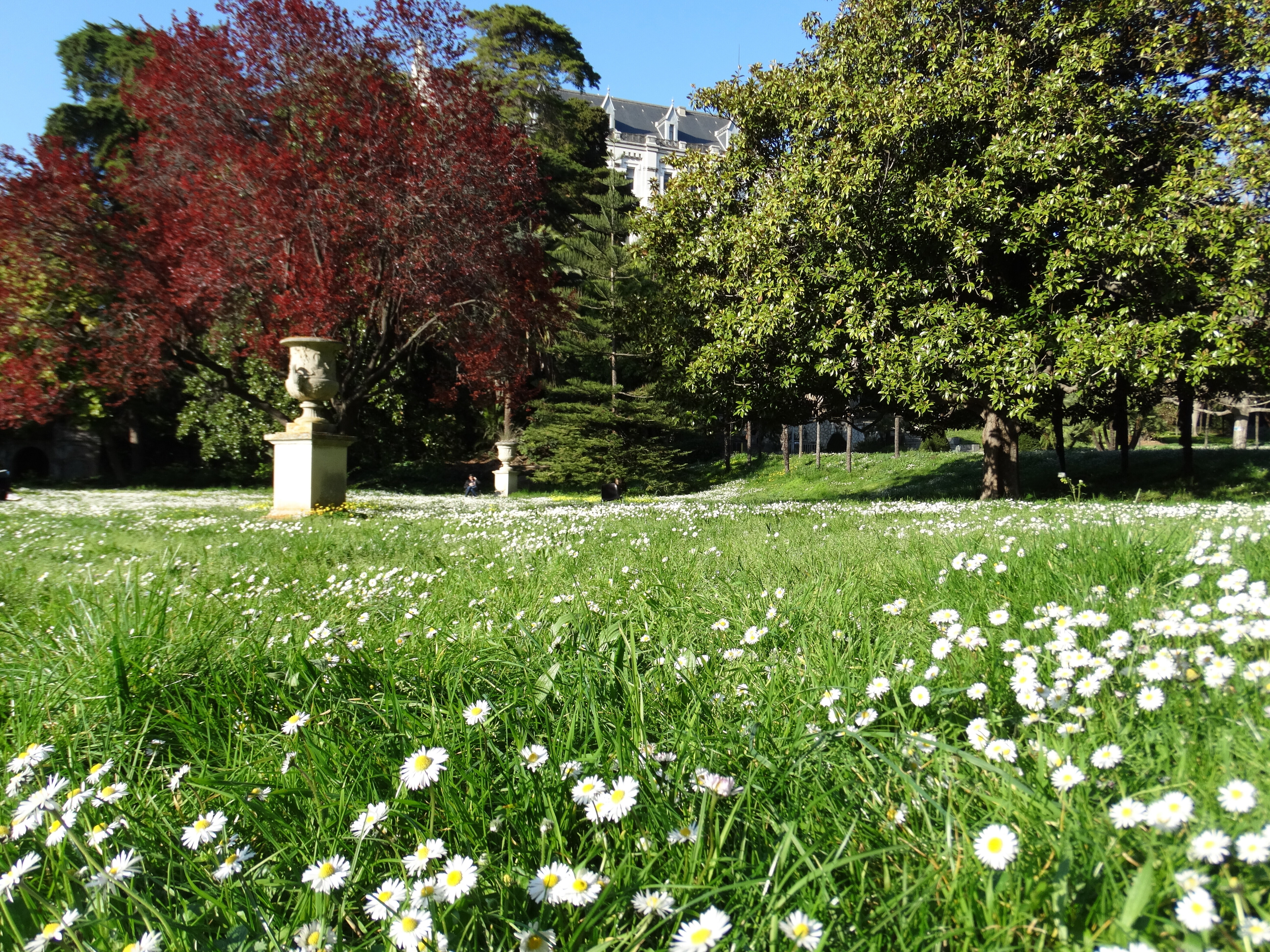 RENDEZ-VOUS AUX JARDINS " LA VUE"