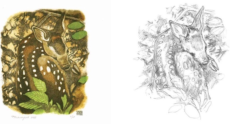 Fête de la Nature
