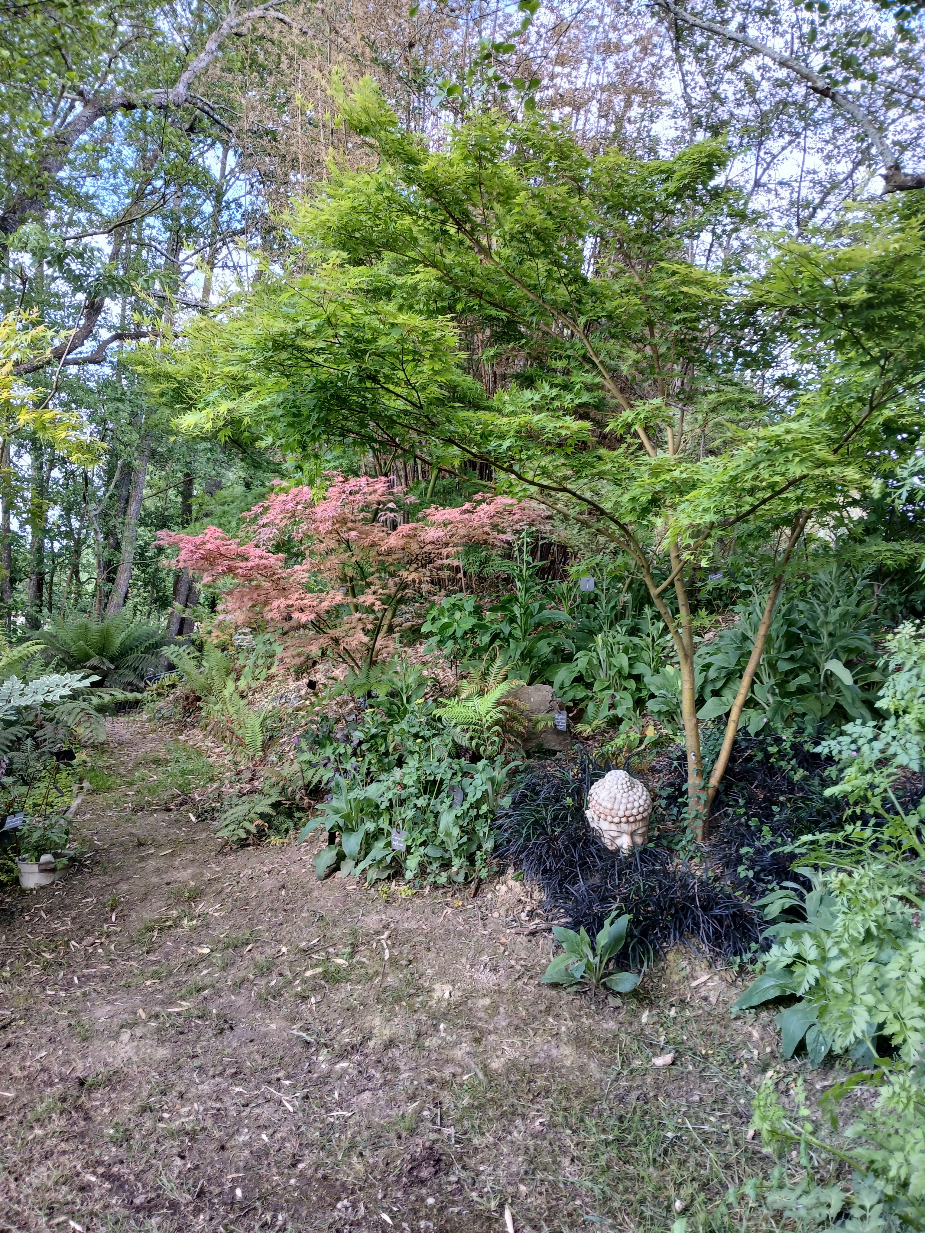 Visite d'un jardin remarqué