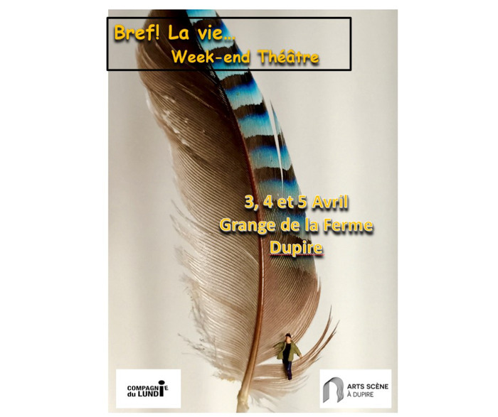 Festival de théâtre « Bref, la vie… »