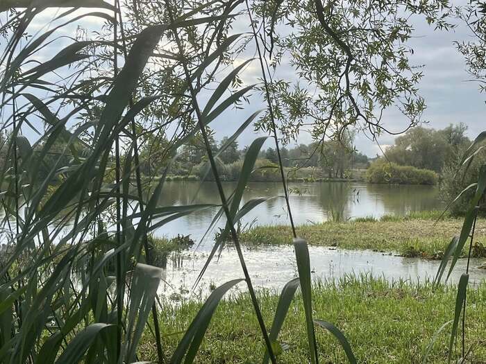 Balade naturaliste : regards d’automne