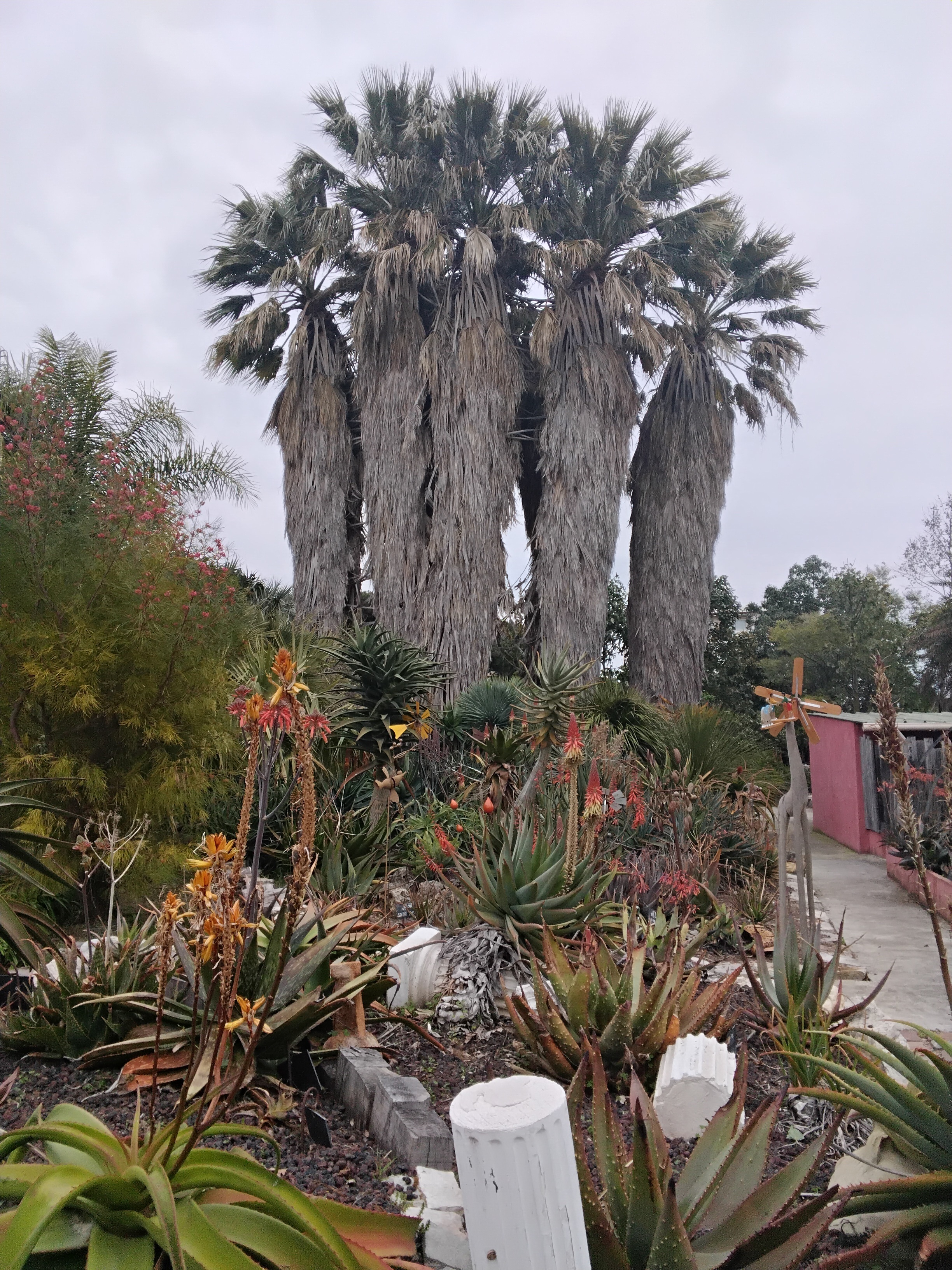 Visite d’un jardin exotique