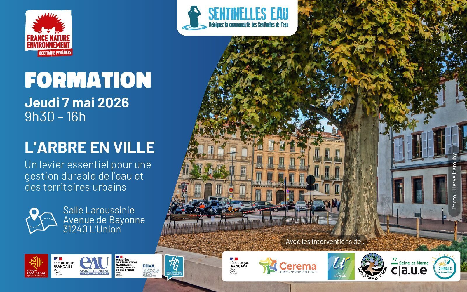 Journée de l'arbre en ville - Jeudi 7 mai