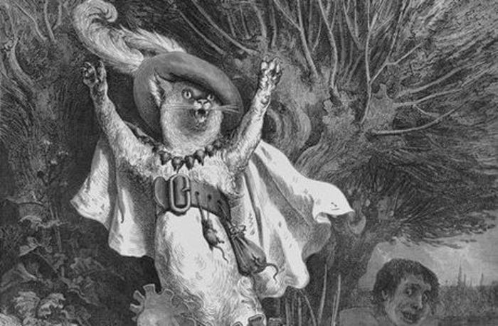 Les Contes du Blaireau