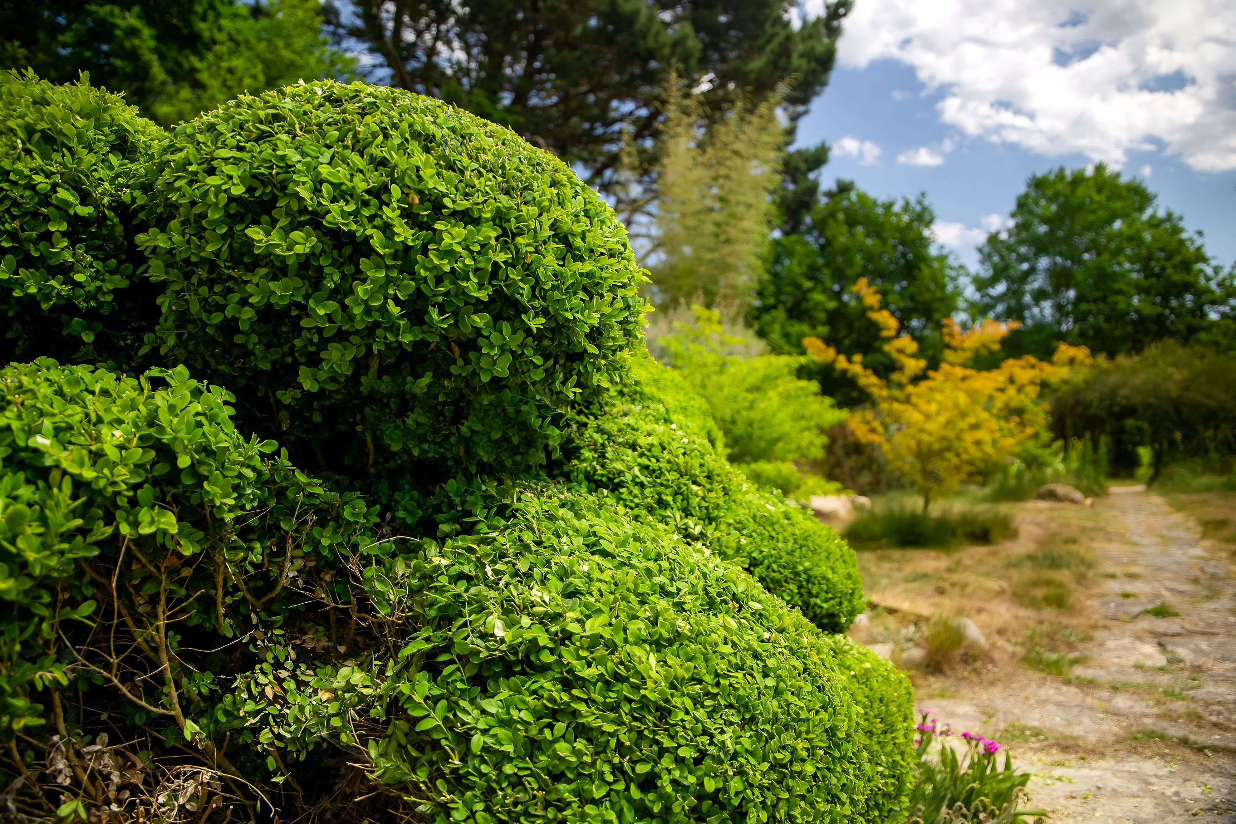 Rendez-vous aux Jardins de La Bruyère