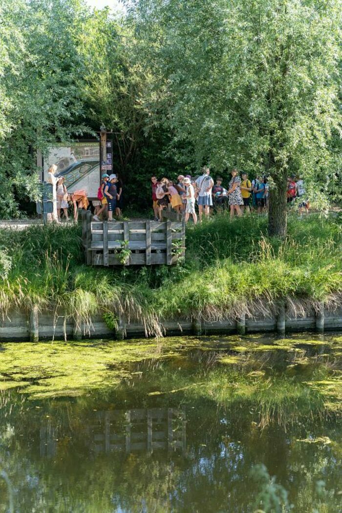 Balade naturaliste : découverte des bassins filtrants