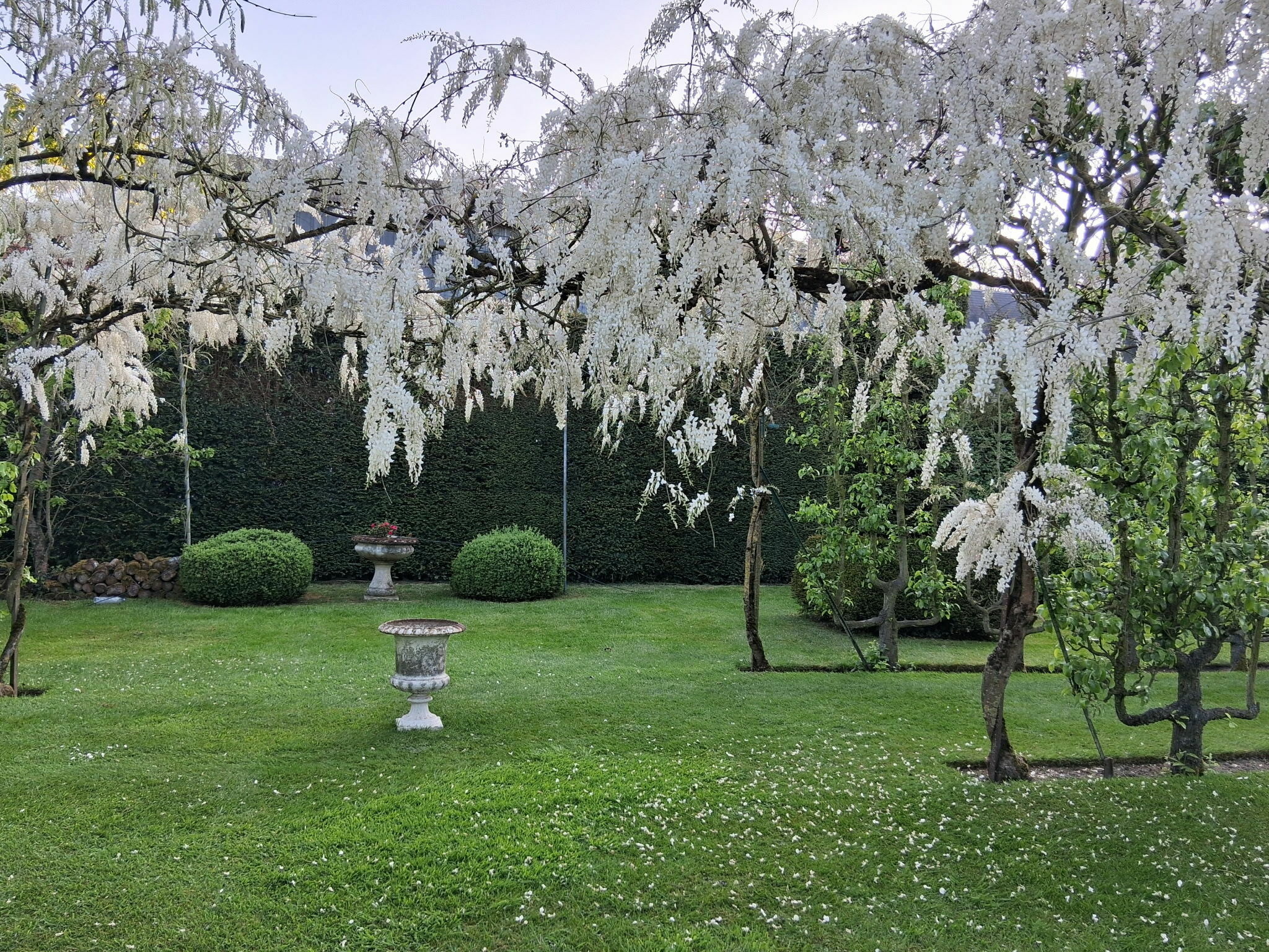 Visite libre du Jardin de Sarton