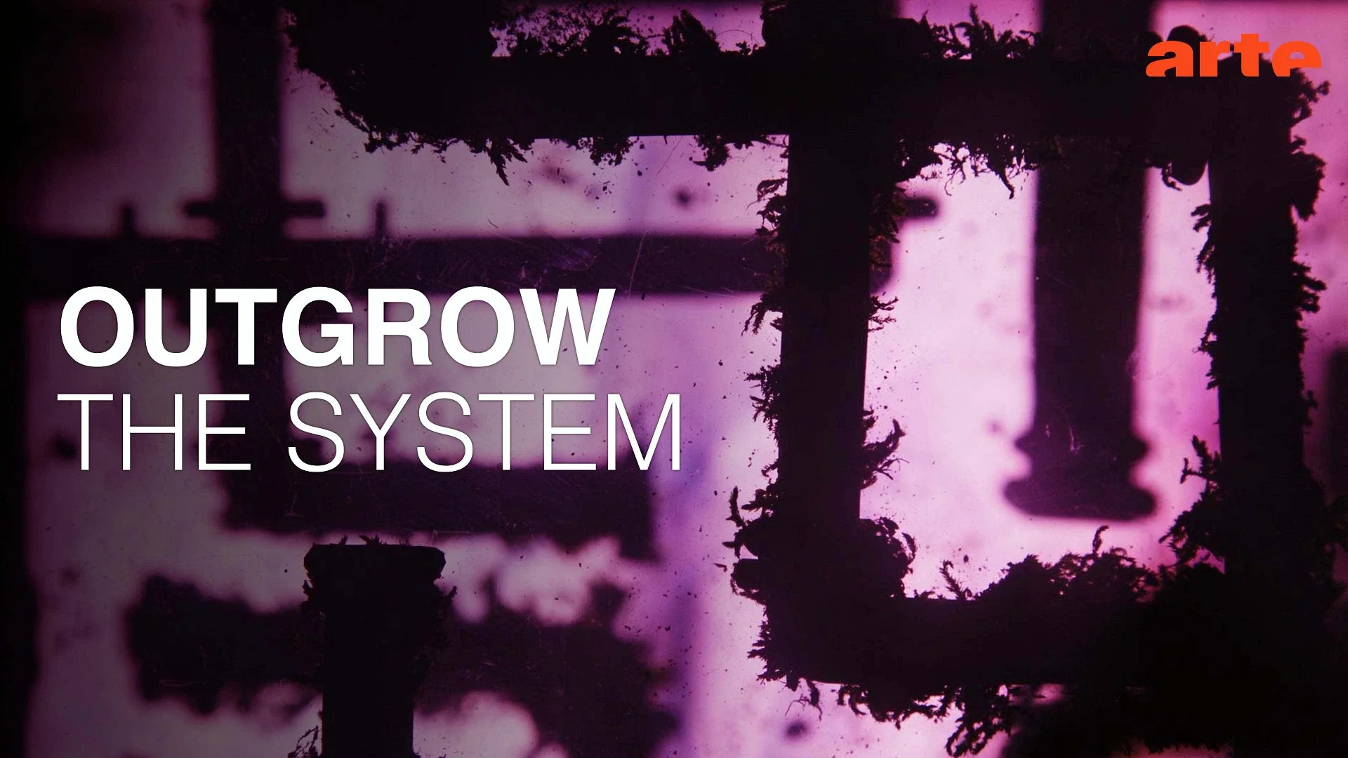 Projection du film "Outgrow the System" - Biennale (re)connecting.earth 2026