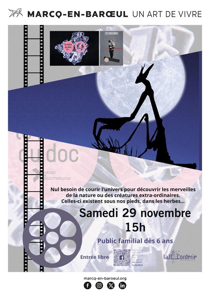 Projection - le mois du doc