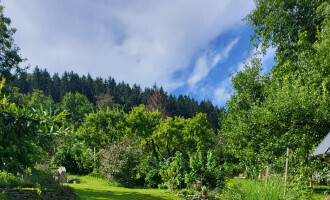Où se trouve le jardin ?