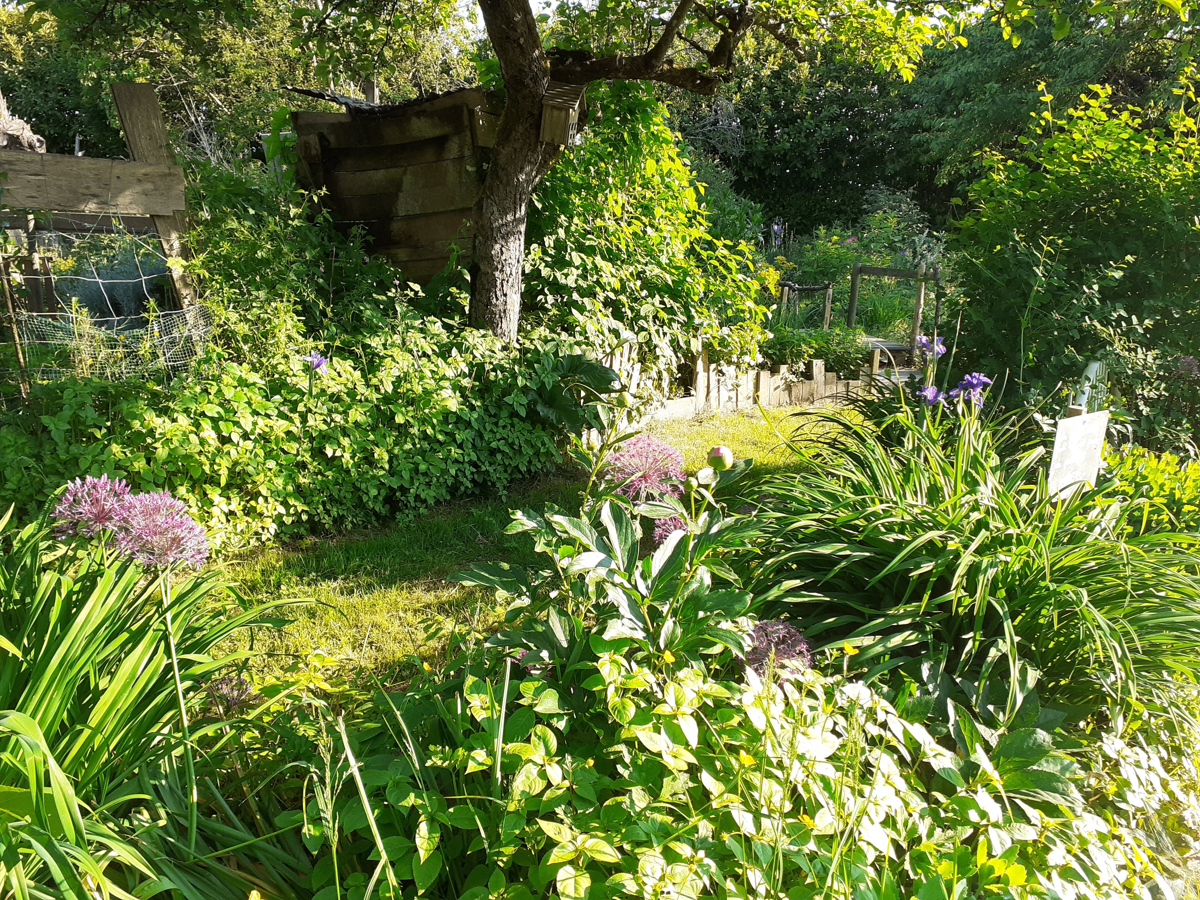 Rendez vous au Jardin des Grandes oreilles