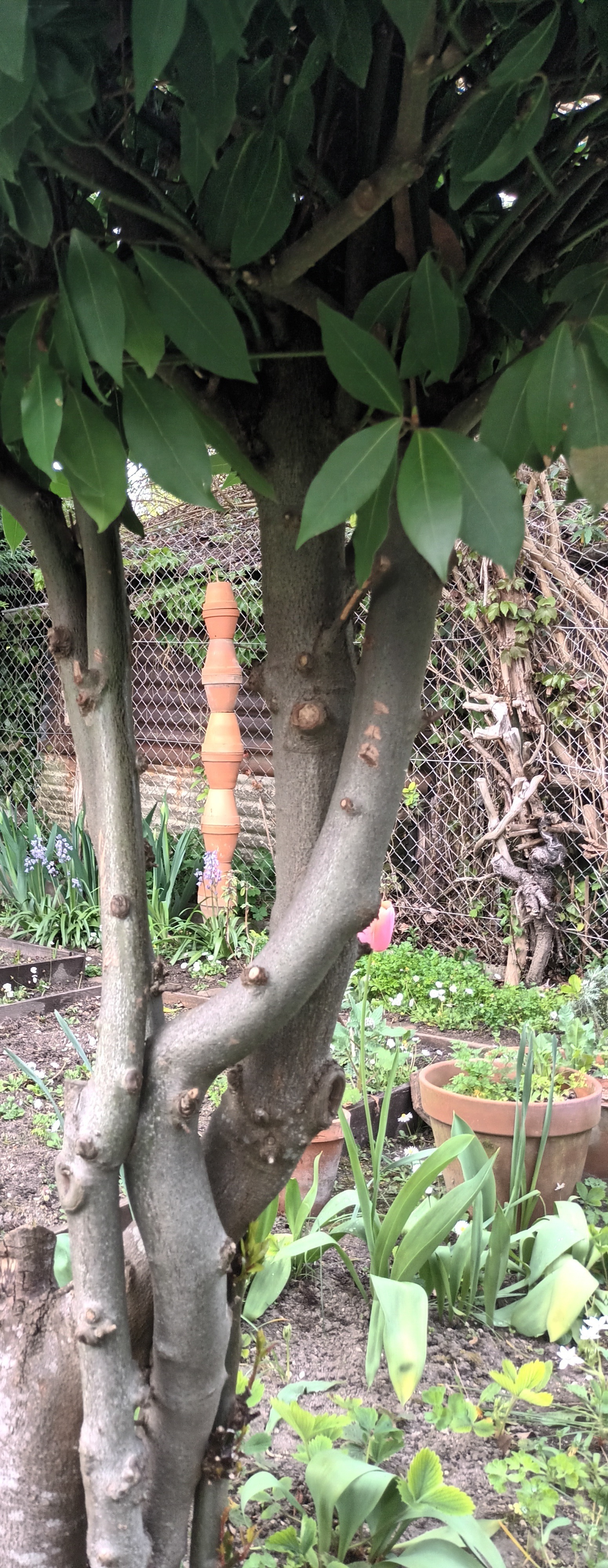 Découverte du Jardin de Barbara