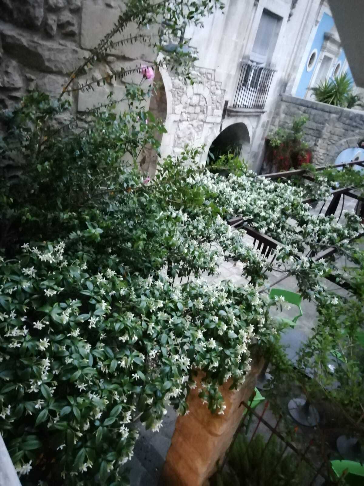 Le jardin caché du musée