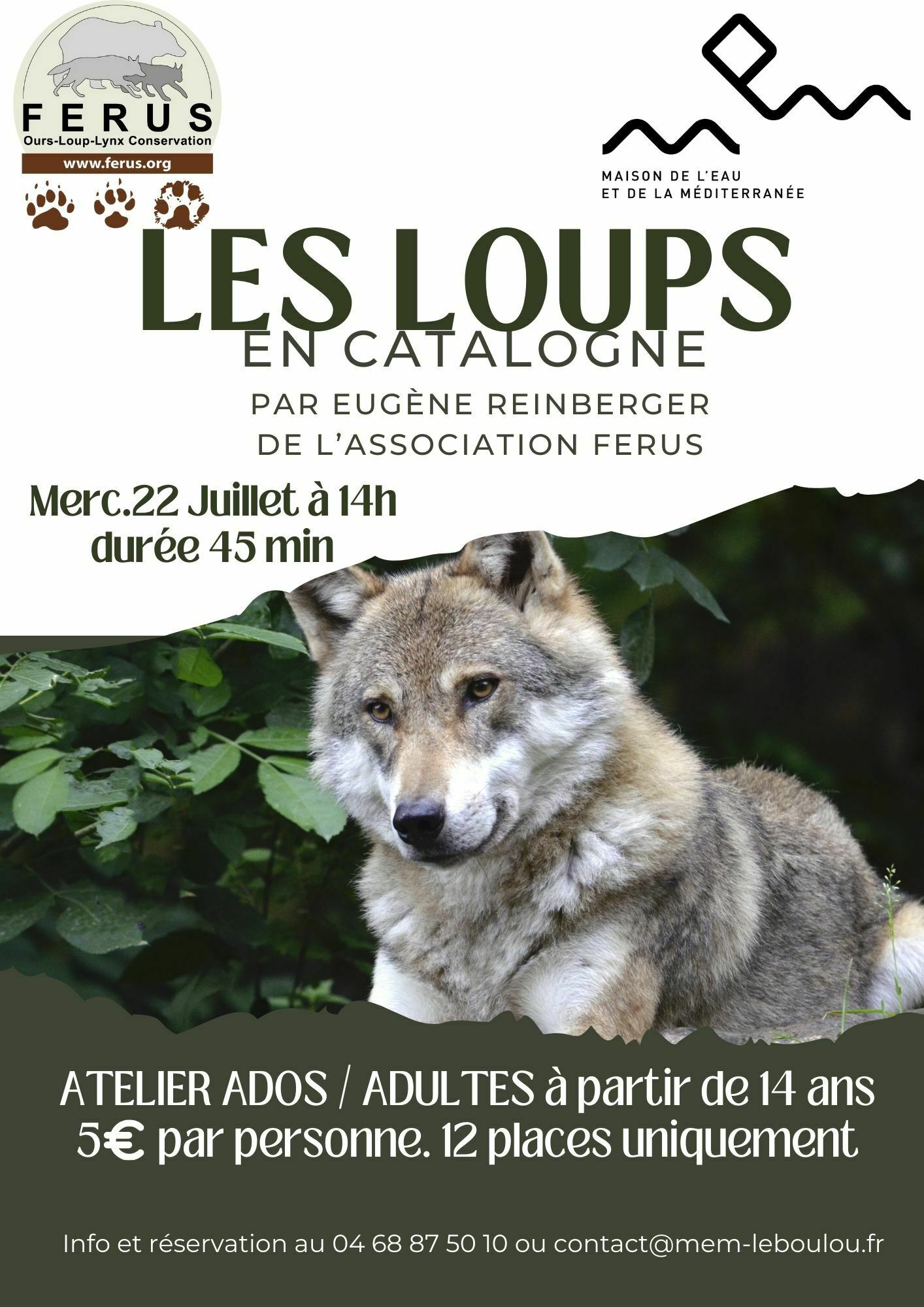 Atelier les loups en catalogne + de 14 ans