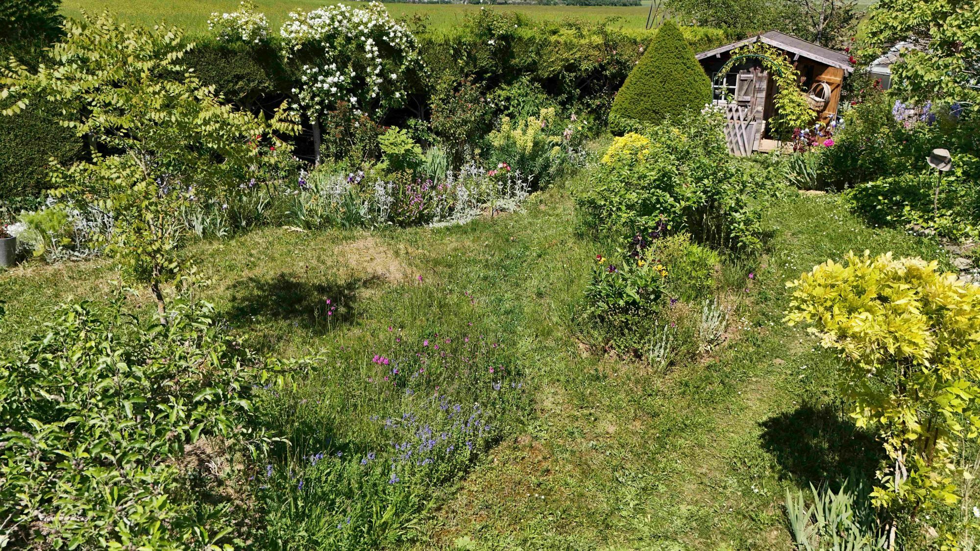 Visite du Jardin imparfait