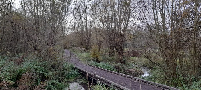 Naturalistic walk: water, source of life and inspiration