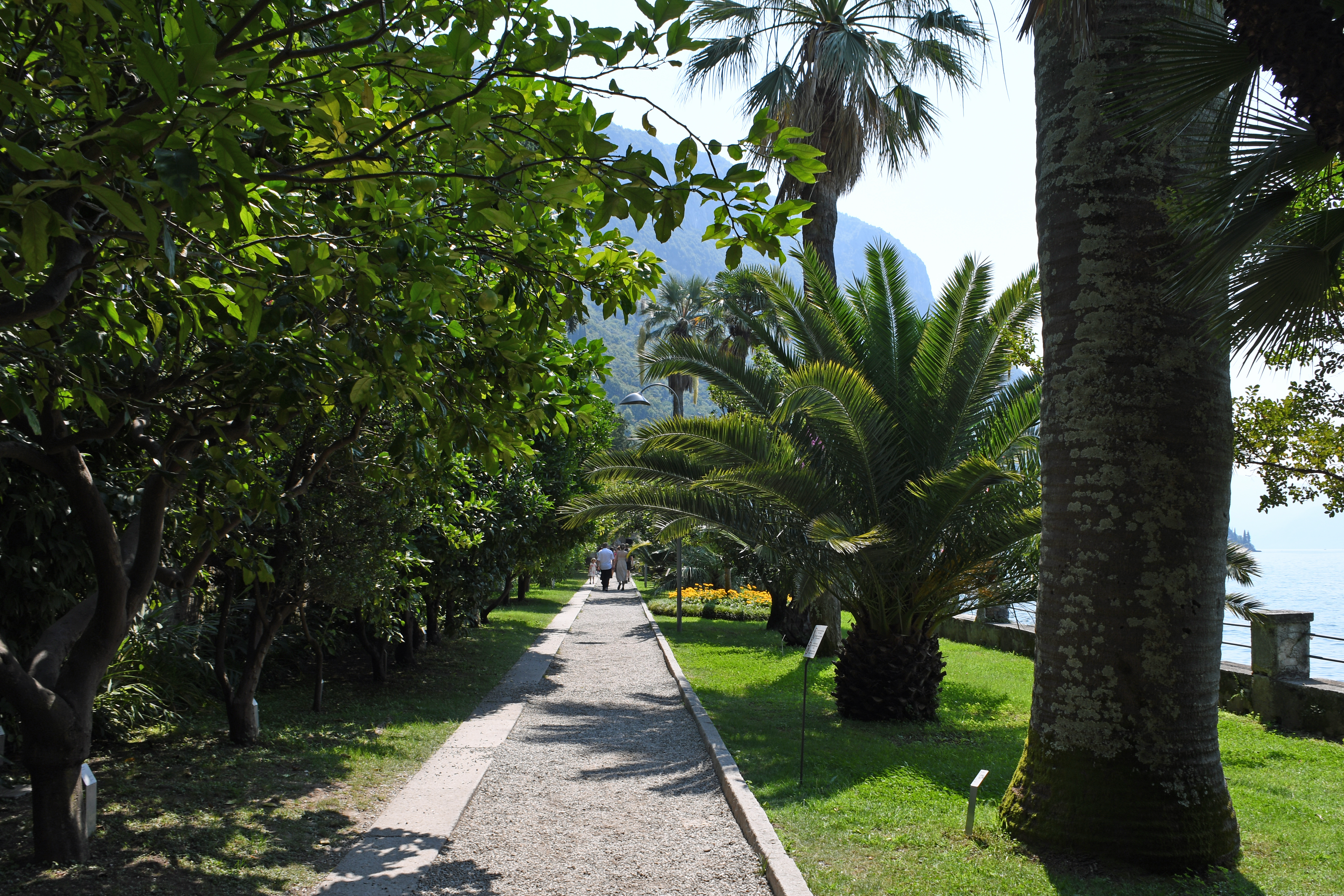 Parcours guidés dans le jardin de la Villa Monastero