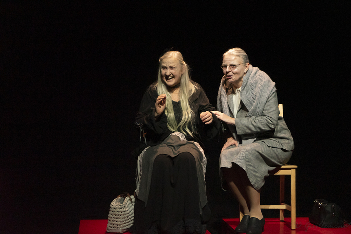 La Nostalgie des blattes par ADVITAM-Compagnie