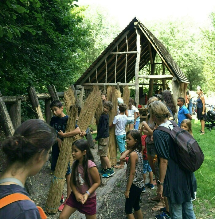 Les mercredis participatifs à asnapio